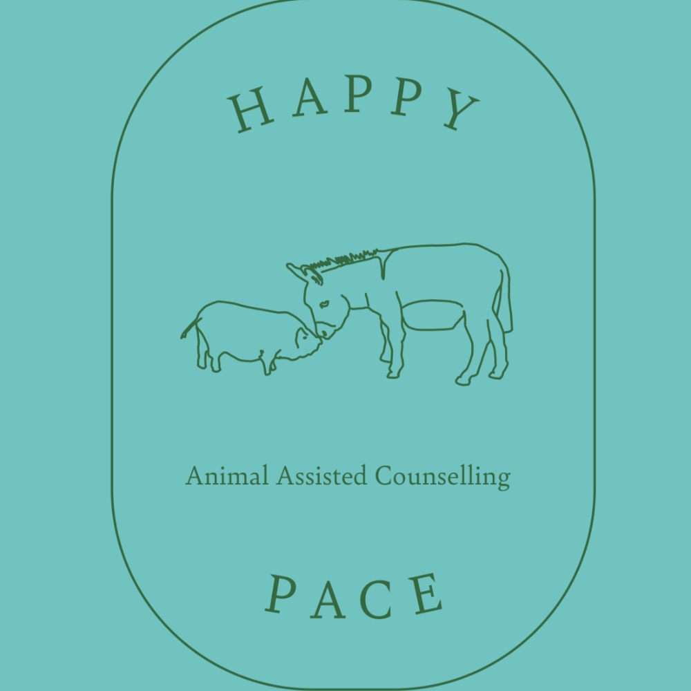 Happy Pace